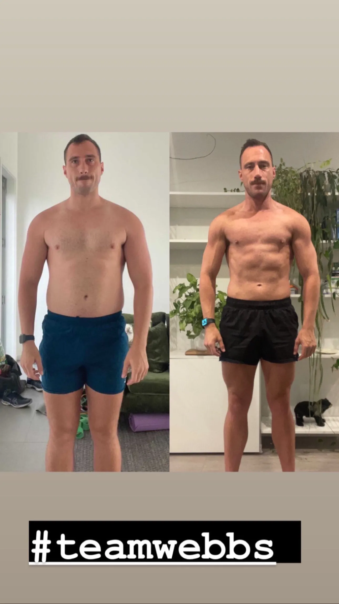 wellness journey transformation
